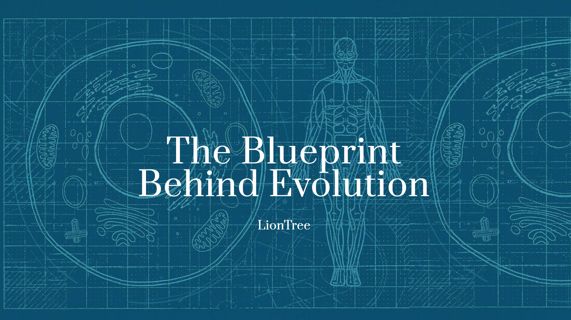 The Blueprint Behind Evolution